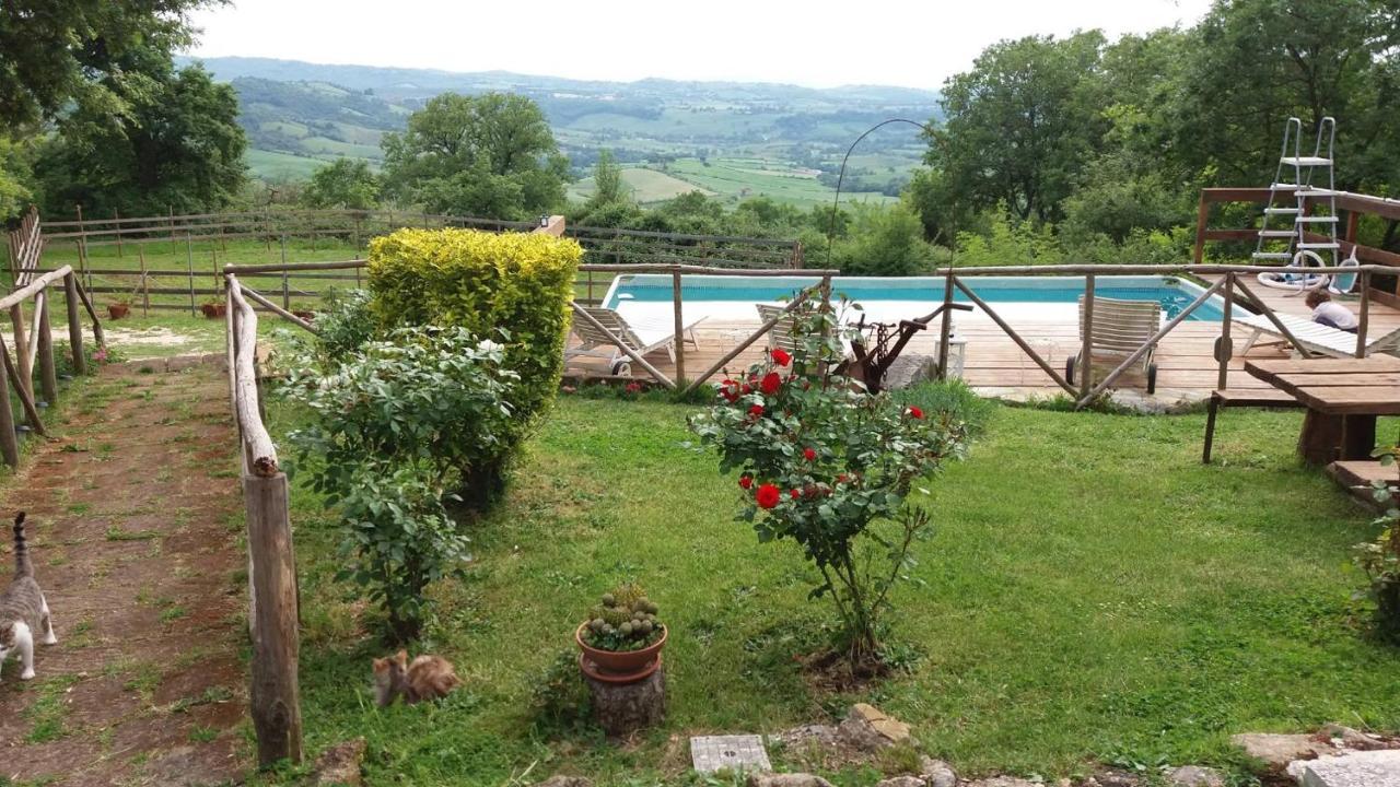 Agriturismo Castellum Aquarum มันชาโน ภายนอก รูปภาพ