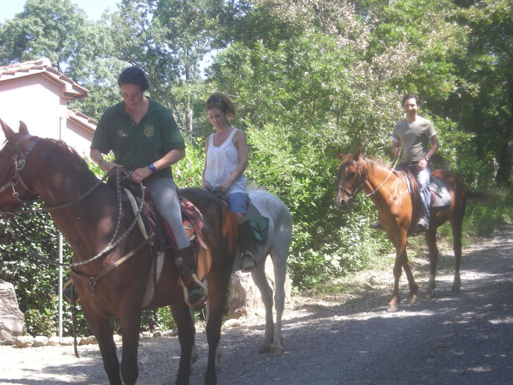 Agriturismo Castellum Aquarum มันชาโน ภายนอก รูปภาพ